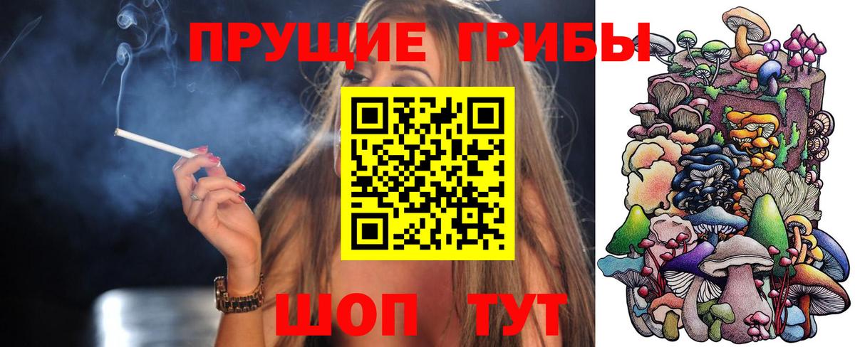 Строитель  Галлюциногенные грибы Magic Shrooms  Вход с VPN 